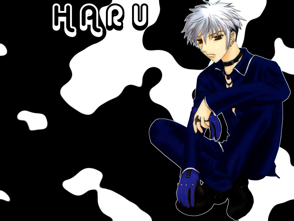 Haru Wallpaper
Wallpaper made using a scan from a cover from a Fruits Basket volume.

1024 x 768 (click on image for full size).

