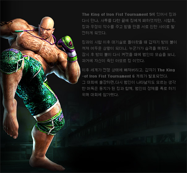 character_info_13.jpg