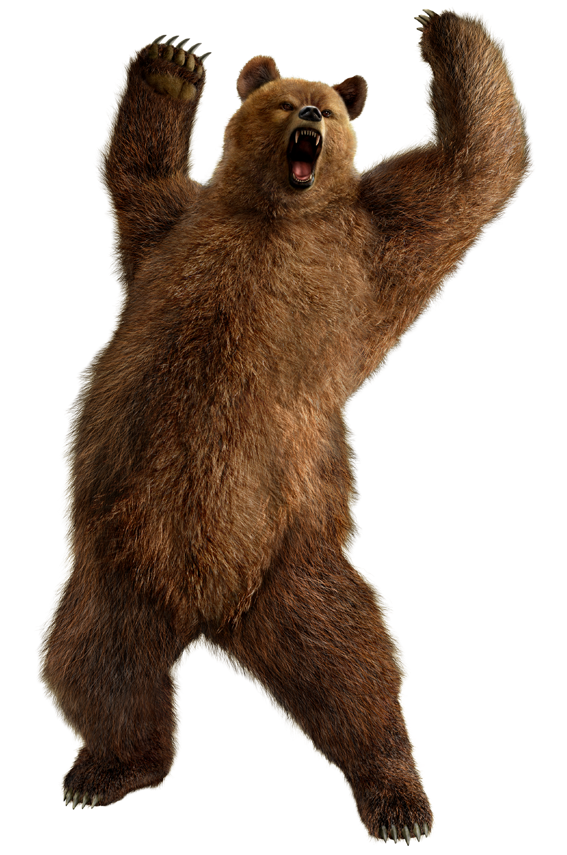 tekken6_kuma.png